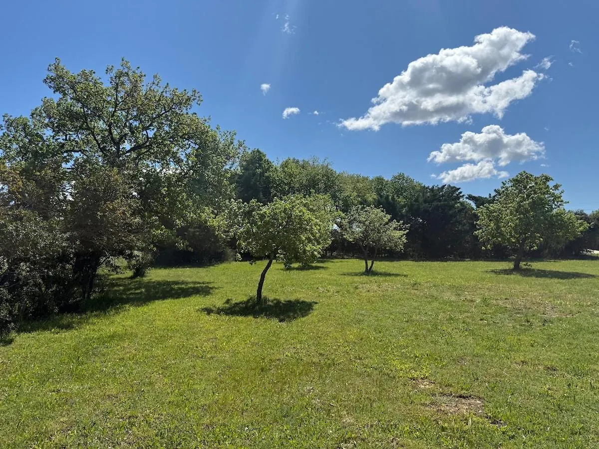 Grand Mas Provencale Renove Avec Piscine Villa Valréas